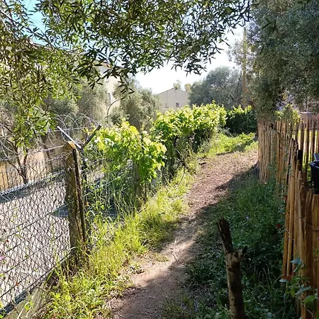 Apartment Flat 2 Bedroom With 2 Bathrooms Garden Porto-vecchio Center