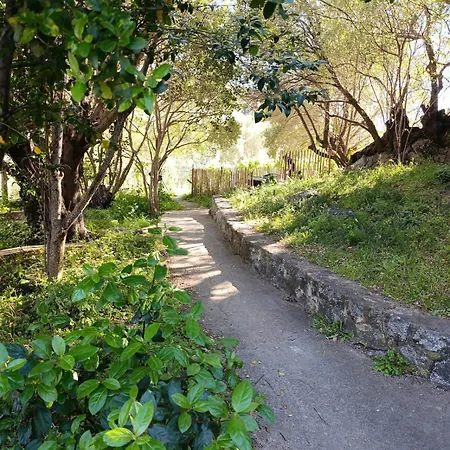 Apartment Flat 2 Bedroom With 2 Bathrooms Garden Porto-vecchio Center *
