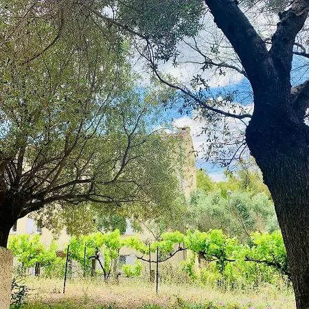 Apartment Flat 2 Bedroom With 2 Bathrooms Garden Porto-vecchio Center Porto-Vecchio (Corsica)