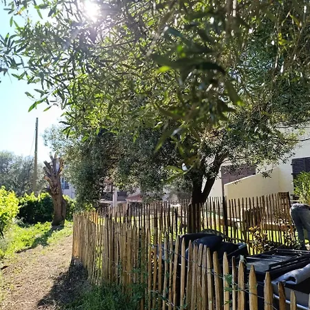 Flat 2 Bedroom With 2 Bathrooms Garden Porto-vecchio Center Apartment